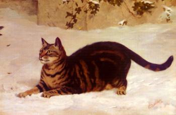 Lost Chance Lost Chance